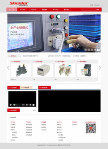 浙江申樂(lè)電氣 攜手上海專業(yè)團(tuán)隊(duì)，打造數(shù)字化企業(yè)新門(mén)戶